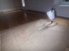 100_3169.jpg