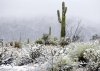 desert_snow.jpg