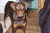 DSC_0175.jpg