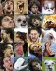 Gasol2.jpg