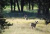DSC_0794.jpg