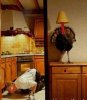 Smart Turkey.jpg