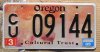 or09cultural_plate.jpg