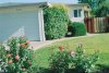 Front Yard.jpg