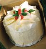 holiday cake.jpg