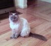 mymargot.jpg
