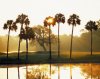 Kiawah.jpg