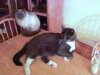 Orlando & Margot.jpg