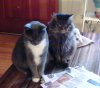 Orlando & Rudy read.jpg