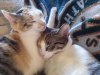 Sophie_and_zoey[1].jpg