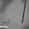 tumblr_o4kk4zX84I1uaundno1_400.gif