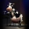cow drinking.jpg