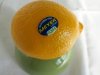 meyer-lemon-500x375.jpg