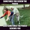 pooch.jpg