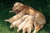 upload_2017-4-10_17-59-55.jpeg
