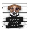 ContentImage_2D00_MugShot.jpg