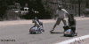 37.gif