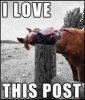 Lovepost.jpeg