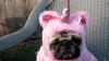 anigif_enhanced-buzz-3720-1355609741-9.gif