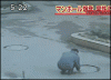 sewer_over.gif