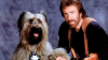 top dog.png