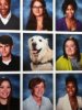o-COMFORT-DOG-570.jpg