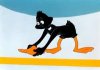 daffy beakless.jpg
