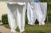 amish bloomers.jpg