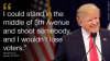 donald shoots.png