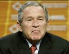 bush smirk 2.jpg