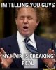 Im-Telling-You-Guys-My-Hair-Is-Freaking-Real-Donald-Trump-Funny-Memes.jpg