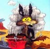 coyote.jpg