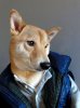 bf9abecd356e4b72f6118158cfc5202a--men-wear-dog-fashion.jpg