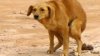 upload_2017-9-22_19-33-16.jpeg