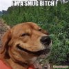 I39m-a-smug-bitch---meme-9464.jpg
