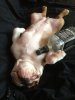 Drunk dog.jpg