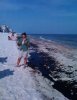 beach oil spill.jpg