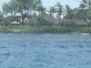 1FCF4B06-B784-48D3-BCB8-D39E4706E099.jpeg