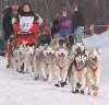 dog team.jpg