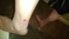 image000000_08.jpg