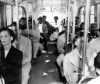 bus in the south.png