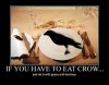 cj crow.jpg