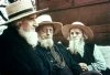 amish.jpg