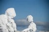 frozen people.jpg