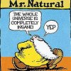 Mr Natural.jpg