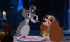 lady-and-the-tramp.jpg