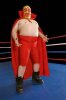 Mexican Wrestler HCP.jpg