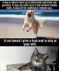 FB_IMG_1516902665192.jpg