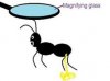 Piss ant.jpg