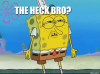 what the heck meme.png